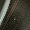 https://cdn-ostrovok-ru-ion.test.edgekey.net/t/100x100/hotel_review/a6/76/a676743522ceda391185040f0fed652a86f373f5.jpeg
