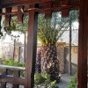 https://cdn-ostrovok-ru-ion.test.edgekey.net/t/100x100/hotel_review/a6/8e/a68e70ecdf4a7c4590b4e38bcea4a566f399ee4b.JPEG