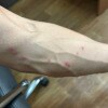 https://cdn-ostrovok-ru-ion.test.edgekey.net/t/100x100/hotel_review/a6/9e/a69e1130ca9b3334b4357874780e98c8cad6840d.jpeg