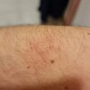 https://cdn-ostrovok-ru-ion.test.edgekey.net/t/100x100/hotel_review/a6/b3/a6b3399c4c7b683b566edf4f1e3ab22aaf6bcb63.jpeg