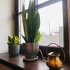https://cdn-ostrovok-ru-ion.test.edgekey.net/t/100x100/hotel_review/a6/ff/a6ff3f5b176fa271f717e537110d8568aad13fb2.JPEG