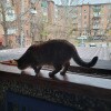 https://cdn-ostrovok-ru-ion.test.edgekey.net/t/100x100/hotel_review/a7/06/a706a491f17bc595d9f39b619dad873022acbd9a.JPEG