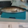https://cdn-ostrovok-ru-ion.test.edgekey.net/t/100x100/hotel_review/a7/08/a70895b8caab00ee0ae46ed83338c1be25ccc31f.JPEG