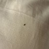 https://cdn-ostrovok-ru-ion.test.edgekey.net/t/100x100/hotel_review/a7/62/a7628e818129d5076ddae33ac178659b858eb2b5.JPEG