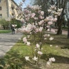 https://cdn-ostrovok-ru-ion.test.edgekey.net/t/100x100/hotel_review/a7/72/a77295c04232c99a0881b6343fbbb2144040c3ad.JPEG