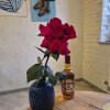 https://cdn-ostrovok-ru-ion.test.edgekey.net/t/100x100/hotel_review/a7/84/a784ad9991b009b32edb5669842ff0b2b2702eb1.JPEG