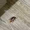 https://cdn-ostrovok-ru-ion.test.edgekey.net/t/100x100/hotel_review/a7/a5/a7a53c2bf242dbfbca1e9003190d4523c3a30d0b.JPEG