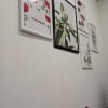https://cdn-ostrovok-ru-ion.test.edgekey.net/t/100x100/hotel_review/a7/a6/a7a6225b975dd138efb859d5f33c1b9951e7233a.JPEG