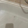 https://cdn-ostrovok-ru-ion.test.edgekey.net/t/100x100/hotel_review/a7/d5/a7d55008dacf5450233e74471b83498c68de1df7.JPEG