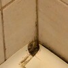 https://cdn-ostrovok-ru-ion.test.edgekey.net/t/100x100/hotel_review/a8/64/a864d7871e06e7b6d40d1d72b2c12b47a73f138c.JPEG