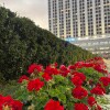 https://cdn-ostrovok-ru-ion.test.edgekey.net/t/100x100/hotel_review/a8/85/a8858ed531e49140d51c3c9474a8e64876f20cad.JPEG