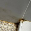https://cdn-ostrovok-ru-ion.test.edgekey.net/t/100x100/hotel_review/a8/89/a889f4a7ce7a11e317efe17d6442a773cda4312b.JPEG