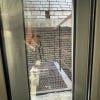 https://cdn-ostrovok-ru-ion.test.edgekey.net/t/100x100/hotel_review/a8/8e/a88e9fdf0fd7417714214ca1287e4249413ab60c.JPEG