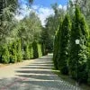 https://cdn-ostrovok-ru-ion.test.edgekey.net/t/100x100/hotel_review/a8/9c/a89c80ed82ded81d9c44279e718343e55a6a814a.JPEG