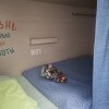 https://cdn-ostrovok-ru-ion.test.edgekey.net/t/100x100/hotel_review/a9/2d/a92de694c3ff68db63baad6eb656c3c7a6455aab.jpeg