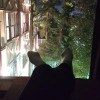 https://cdn-ostrovok-ru-ion.test.edgekey.net/t/100x100/hotel_review/a9/37/a937af5b69cc0e02ef171c3e18507a48968b789d.JPEG