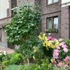 https://cdn-ostrovok-ru-ion.test.edgekey.net/t/100x100/hotel_review/a9/39/a939bd94ad256ed19a3240cfaf1bad3dd10d9f01.JPEG