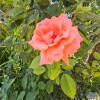 https://cdn-ostrovok-ru-ion.test.edgekey.net/t/100x100/hotel_review/a9/3d/a93d9b4b78d35a26cc92a75a862fa1ba05e06531.JPEG