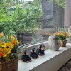 https://cdn-ostrovok-ru-ion.test.edgekey.net/t/100x100/hotel_review/a9/5b/a95b411413cd24ff89002851c1b4249e617ee5b2.JPEG