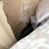 https://cdn-ostrovok-ru-ion.test.edgekey.net/t/100x100/hotel_review/a9/5f/a95f9a186f2bf03f36c55ebd2bc3a9428f9bf15b.jpeg