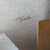 https://cdn-ostrovok-ru-ion.test.edgekey.net/t/100x100/hotel_review/a9/80/a9808363c00d93a1e8549dfa468b51d4a2072e25.jpeg