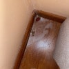 https://cdn-ostrovok-ru-ion.test.edgekey.net/t/100x100/hotel_review/a9/bd/a9bd8927b1283b7f180a9dc35c7afa20d291f791.JPEG