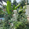https://cdn-ostrovok-ru-ion.test.edgekey.net/t/100x100/hotel_review/a9/dd/a9dd84c7b3cc8dc0d3c95e859c5798bfea5235f8.JPEG