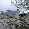 https://cdn-ostrovok-ru-ion.test.edgekey.net/t/100x100/hotel_review/a9/e8/a9e8946840fab2bd0b79b8d28ce495ebb22dd8d0.JPEG
