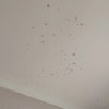 https://cdn-ostrovok-ru-ion.test.edgekey.net/t/100x100/hotel_review/a9/f1/a9f1d6f3ef32d07fc1c95eb0cc595fe296f82d2d.jpeg