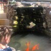 https://cdn-ostrovok-ru-ion.test.edgekey.net/t/100x100/hotel_review/aa/01/aa01cf8806c553998646afe5e9cd8131da579ed0.JPEG