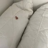 https://cdn-ostrovok-ru-ion.test.edgekey.net/t/100x100/hotel_review/aa/35/aa3553f430813b040a6c119d027af637532119e7.jpeg