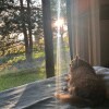https://cdn-ostrovok-ru-ion.test.edgekey.net/t/100x100/hotel_review/aa/3b/aa3b3824445dbb9b0e3688ee192eef75432449b4.JPEG