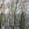https://cdn-ostrovok-ru-ion.test.edgekey.net/t/100x100/hotel_review/aa/59/aa5985d7dcb4f57842cb2459a014d21c4ed3d04f.jpeg