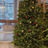 https://cdn-ostrovok-ru-ion.test.edgekey.net/t/100x100/hotel_review/aa/65/aa653cc3286a67e81727b18f5c2ed43c707da57b.JPEG