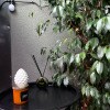 https://cdn-ostrovok-ru-ion.test.edgekey.net/t/100x100/hotel_review/aa/75/aa75ee7d47057b5c1cfb87e0f85379d17f3945e2.JPEG