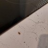 https://cdn-ostrovok-ru-ion.test.edgekey.net/t/100x100/hotel_review/ab/01/ab01c70a9c862740cc2011dd26819118e7521adc.JPEG