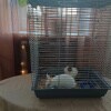 https://cdn-ostrovok-ru-ion.test.edgekey.net/t/100x100/hotel_review/ab/35/ab3570a9d8724db9de0cc69fb577fa4c9482d78c.JPEG