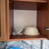 https://cdn-ostrovok-ru-ion.test.edgekey.net/t/100x100/hotel_review/ab/c8/abc8779d94e1f774573789070aa733c0c5d55780.JPEG