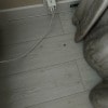 https://cdn-ostrovok-ru-ion.test.edgekey.net/t/100x100/hotel_review/ab/e0/abe0a525fc2d3b4a682086adf0253c30eaeb113c.JPEG