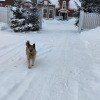 https://cdn-ostrovok-ru-ion.test.edgekey.net/t/100x100/hotel_review/ab/ed/abed9a988a344cd5565a40160ef2e5ad4892aa62.jpeg