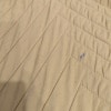 https://cdn-ostrovok-ru-ion.test.edgekey.net/t/100x100/hotel_review/ac/0a/ac0af0f27ccdc941b6589b45f4a15e31beefb051.JPEG