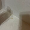 https://cdn-ostrovok-ru-ion.test.edgekey.net/t/100x100/hotel_review/ac/23/ac23ecddd4b946718e299021a124b1baa78176bb.JPEG