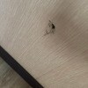https://cdn-ostrovok-ru-ion.test.edgekey.net/t/100x100/hotel_review/ac/63/ac634b986fc88855a3396d7fdfe75028fbc1e117.JPEG