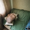 https://cdn-ostrovok-ru-ion.test.edgekey.net/t/100x100/hotel_review/ac/82/ac820959b012da3e2279c796aaa31da012d8162c.JPEG