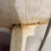 https://cdn-ostrovok-ru-ion.test.edgekey.net/t/100x100/hotel_review/ac/a5/aca58ce92fe9edfc8d9173770c98cd47888592d7.JPEG