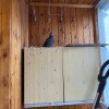 https://cdn-ostrovok-ru-ion.test.edgekey.net/t/100x100/hotel_review/ac/ba/acbaa6ef0f8b24e45cd5219559ff7202e58ace76.JPEG