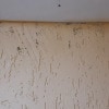 https://cdn-ostrovok-ru-ion.test.edgekey.net/t/100x100/hotel_review/ac/e2/ace23c630fae7a45ad5a8bed9ab958a326737a4b.jpeg
