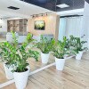 https://cdn-ostrovok-ru-ion.test.edgekey.net/t/100x100/hotel_review/ae/26/ae2635bf11a25d12ab34995f8cbaf2ec48131225.JPEG
