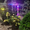 https://cdn-ostrovok-ru-ion.test.edgekey.net/t/100x100/hotel_review/ae/26/ae26645013fef7ec994d3200f0ecfab899fb54d9.JPEG