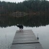 https://cdn-ostrovok-ru-ion.test.edgekey.net/t/100x100/hotel_review/ae/57/ae57b9f26e56b530b9861fee6683792a42933008.JPEG